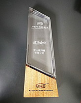 荣誉t4_中国户外传媒年度成功企业.jpg